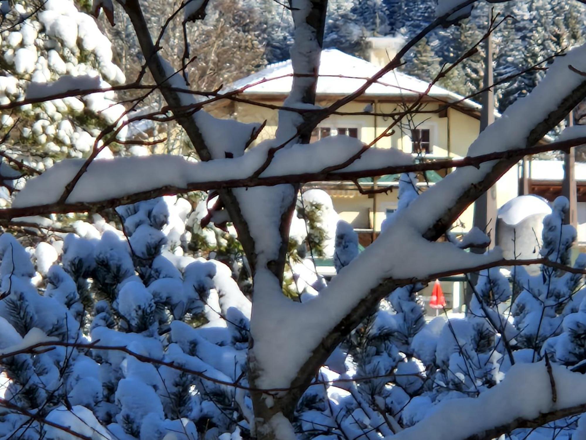 Appartement Bergsee Sun - Am Wildsee - Atemberaubende Aussicht Seefeld in Tirol Ngoại thất bức ảnh