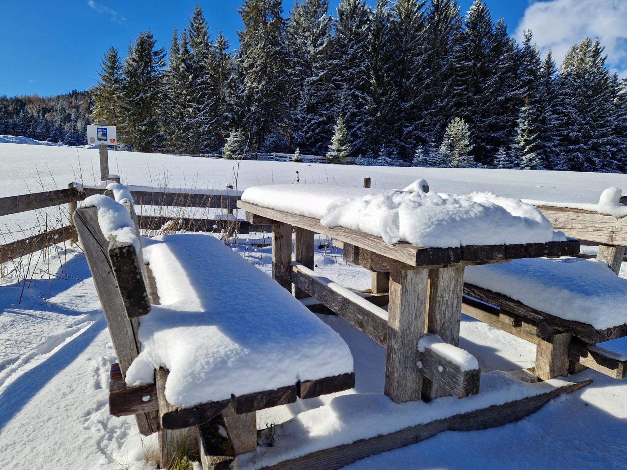 Appartement Bergsee Sun - Am Wildsee - Atemberaubende Aussicht Seefeld in Tirol Ngoại thất bức ảnh